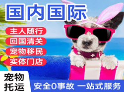 德宏航空运输国际宠物托运 【国